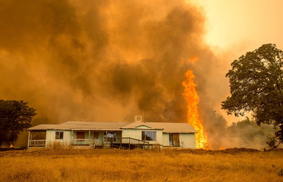 Kalifornijoje siaučiant miškų gaisrams iškilo pavojus 5 000 pastatų
