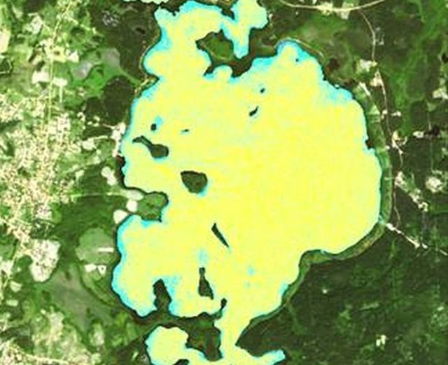Platelių ežero „žydėjimas“ užfiksuotas ir iš kosmoso