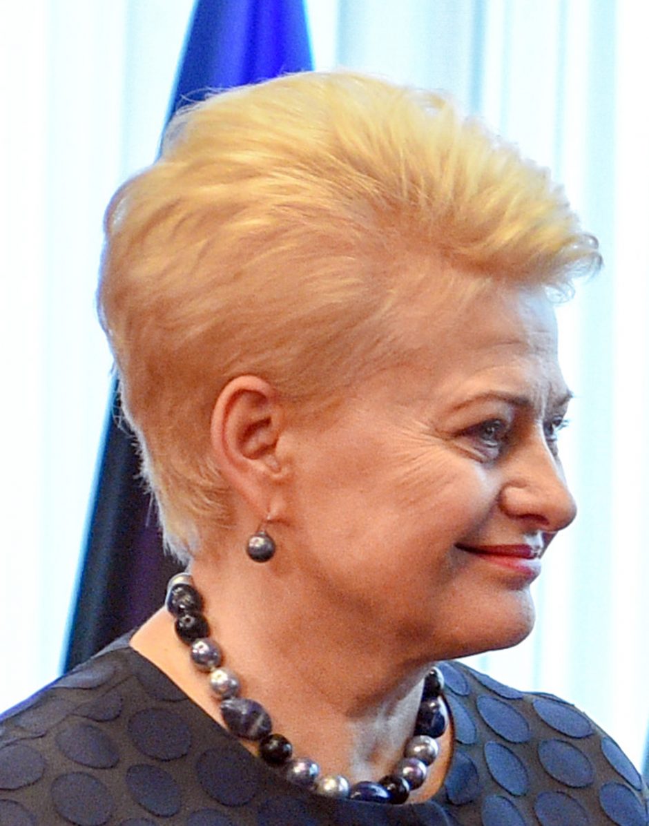 D. Grybauskaitė: ES daugiau investuoja į savo saugumą