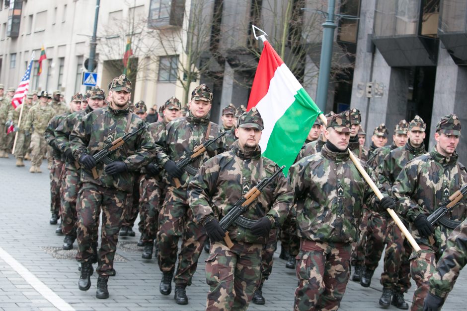 Vengrijos premjeras Vilniuje stebėjo kariuomenės paradą 
