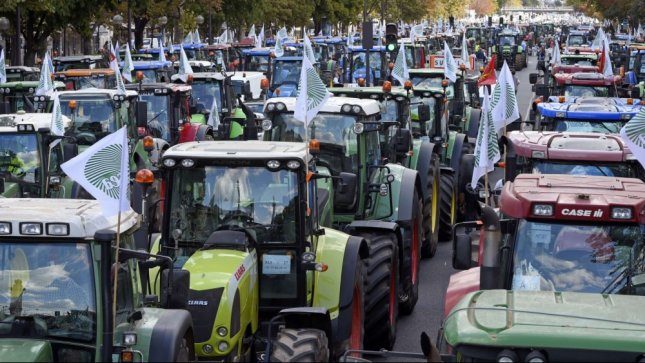 Prancūzų žemdirbiai pyksta dėl smukusių žemės ūkio produktų kainų