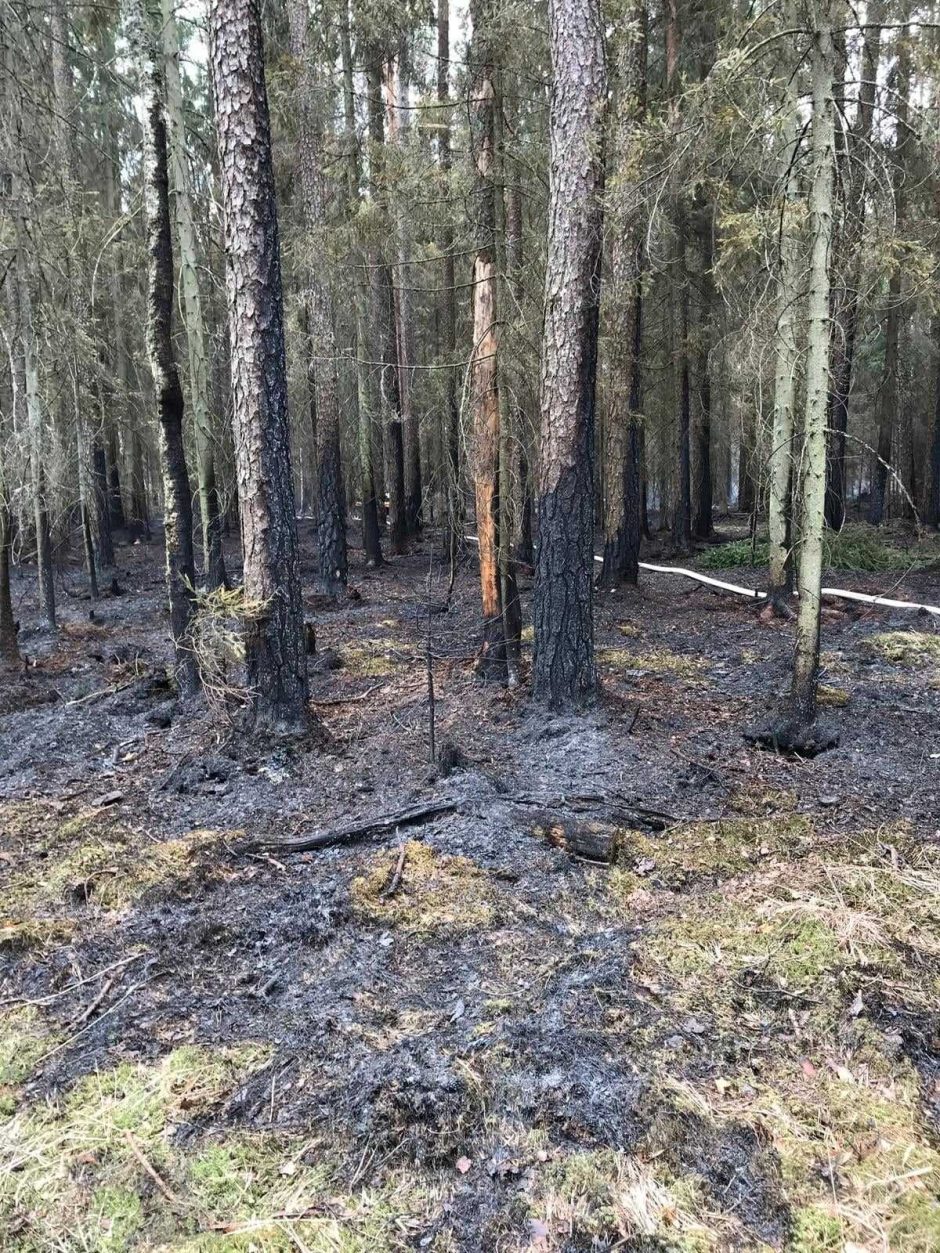 Miško gaisravietėse miškininkai ir ugniagesiai budi ir naktimis