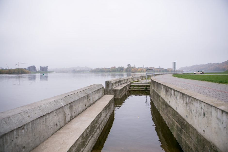 Kas kaltas dėl akyse tvinstančio Nemuno?