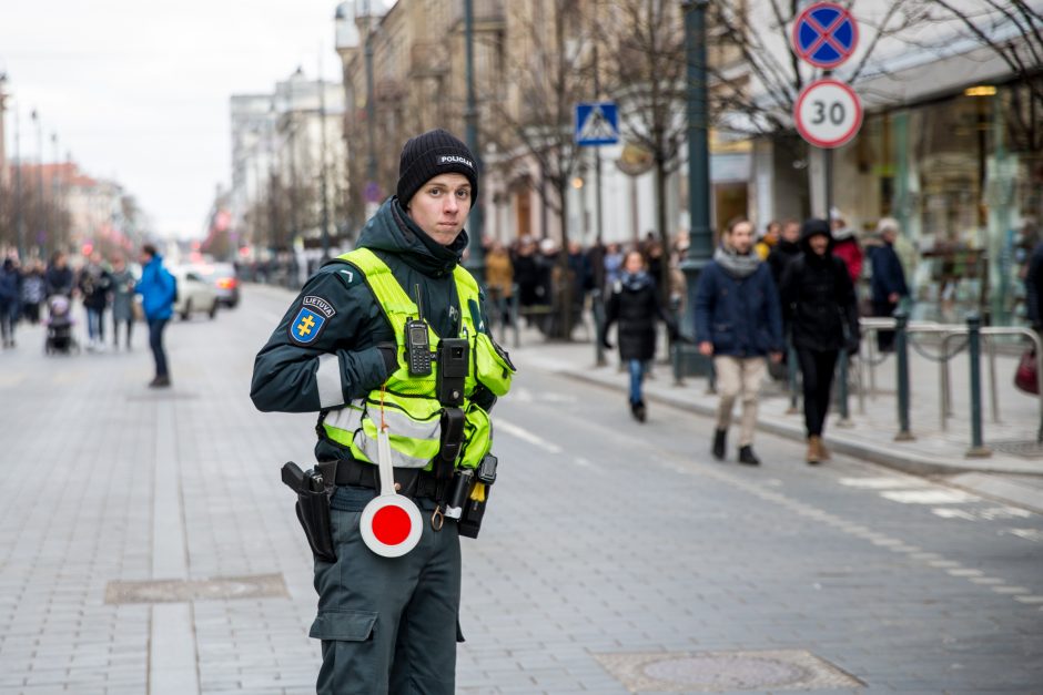 Tūkstantinė minia suplūdo į A. Tapino sušauktą mitingą prie Seimo (vaizdo įrašas)