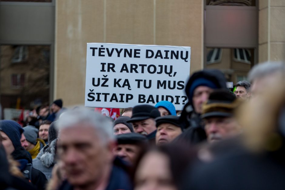 Tūkstantinė minia suplūdo į A. Tapino sušauktą mitingą prie Seimo (vaizdo įrašas)