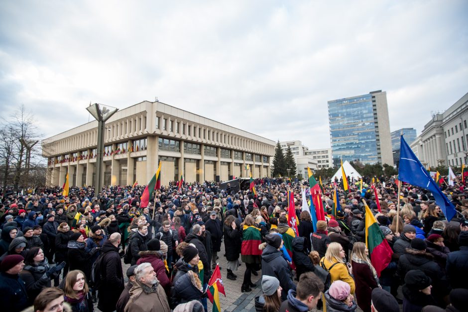 Tūkstantinė minia suplūdo į A. Tapino sušauktą mitingą prie Seimo (vaizdo įrašas)