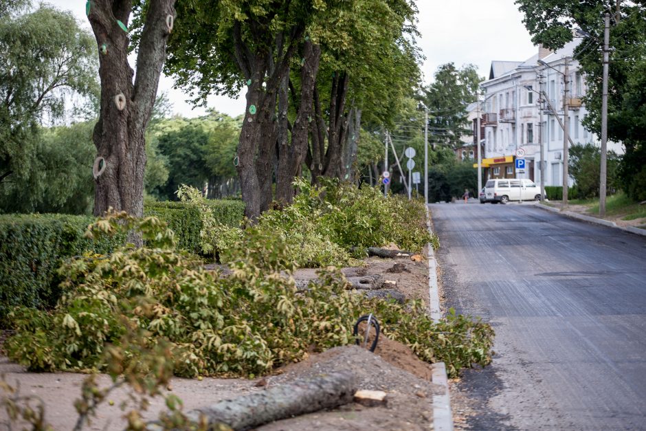 Konfliktas dėl medžių Kaune – su provokacijos elementais