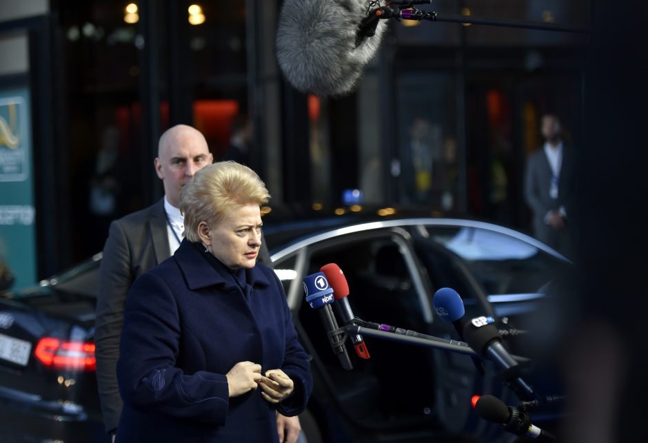 D. Grybauskaitė: ekonominė nelygybė – visos ES rūpestis