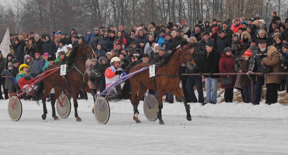 Vasario 3-ąją Dusetose – ne vien žirginio sporto entuziastų šventė