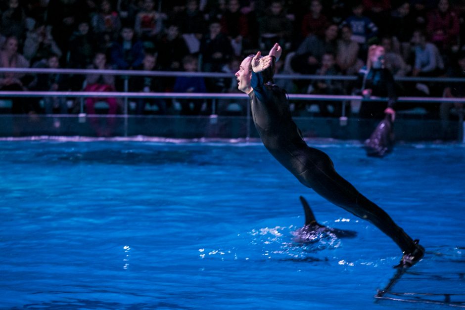 Į delfinariumą grįžęs šokėjas A. Liškauskas: esu jiems daugiau nei žuvis