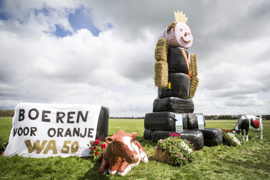 Karaliaus 50-metį švenčia visi Nyderlandai