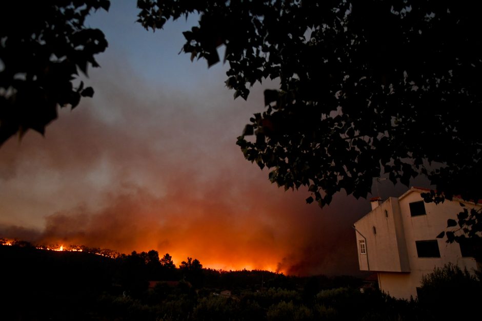 Portugalija vėl grumiasi su miškų gaisrais