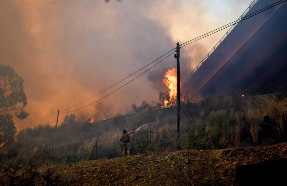 Karštis ir vėjas kursto miškų gaisrus Portugalijoje ir Korsikoje