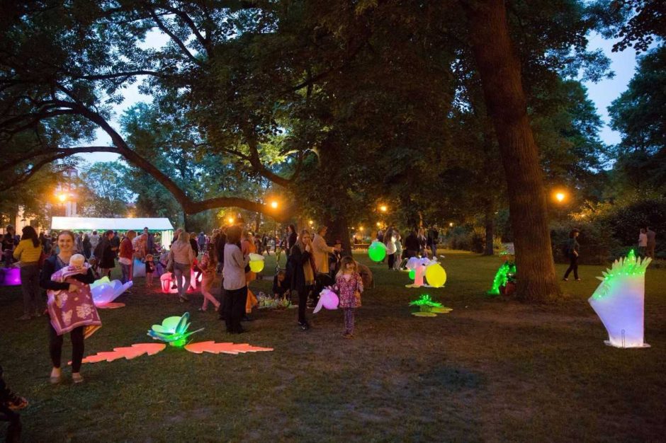 Kauno botanikos sodas sukūrė stebuklingą nakties pievą