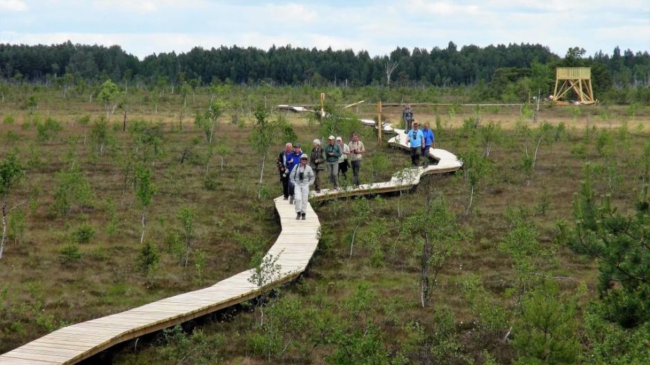 Aukštumalos pelkė – akį džiuginantys žemės plaučiai