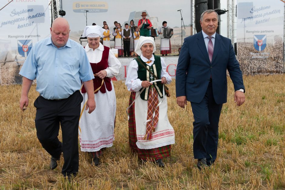 Kauno rajone paskelbta javapjūtės pradžia 