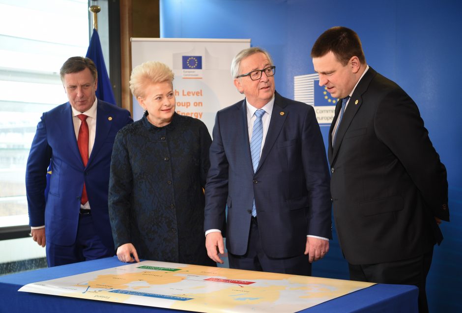 Baltijos šalys sutarė dėl elektros tinklų sinchronizacijos