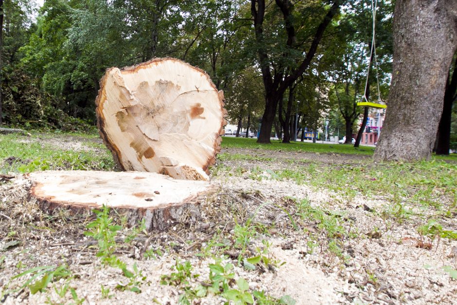 Škvalo padariniai Reformatų parke savivaldybės nedomina