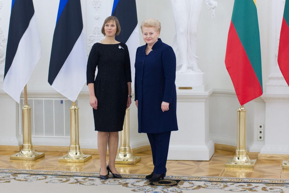 D. Grybauskaitė: „Rail Balticai“ daugiausia problemų kuria Lietuva
