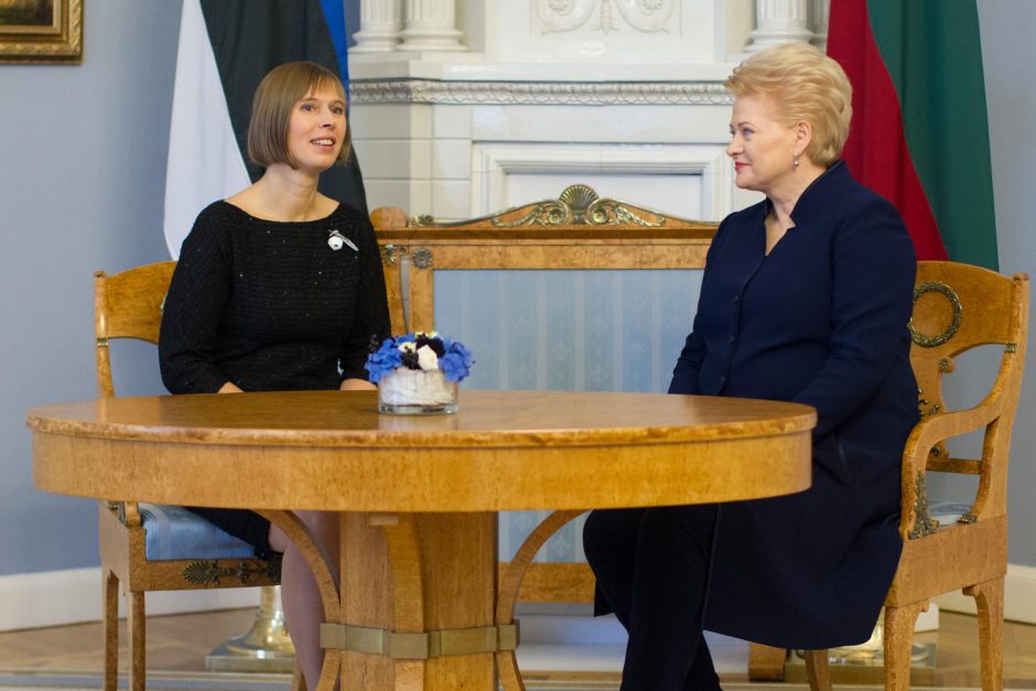 D. Grybauskaitė: „Rail Balticai“ daugiausia problemų kuria Lietuva