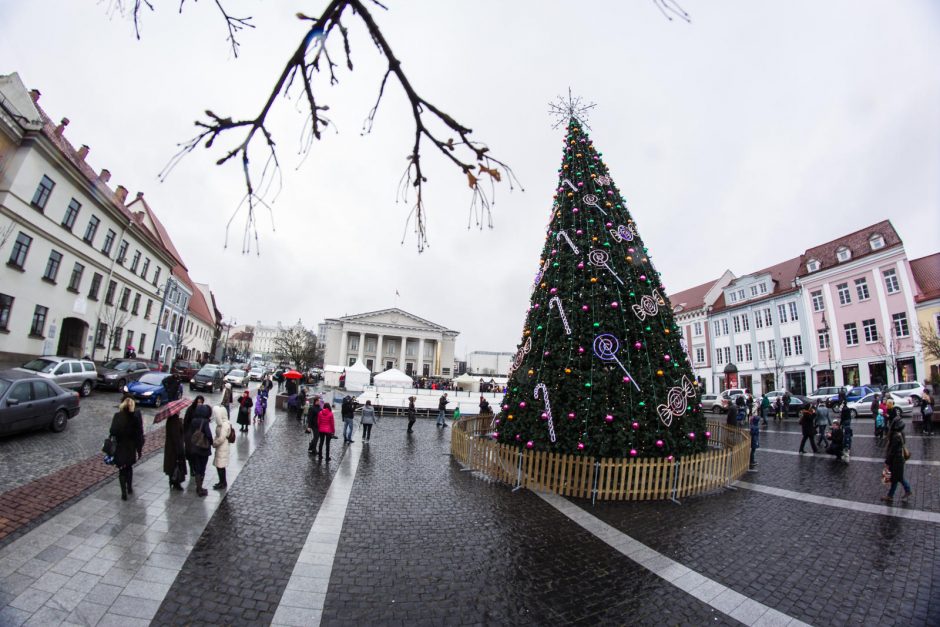 Rotušės aikštėje įžiebta Vilniaus Kalėdų eglutė