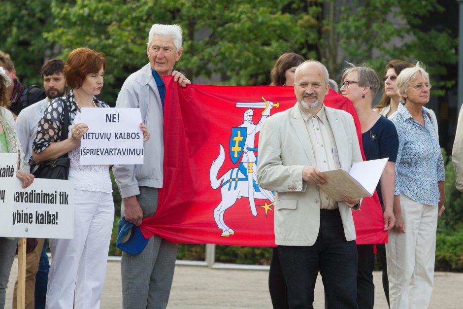 Mitinguotojai reikalauja Seimo narius mokyti kultūros ir istorijos