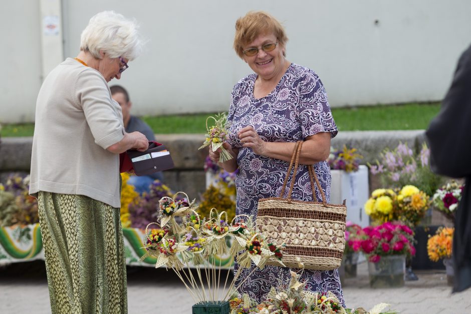 Žolinė Vilniuje