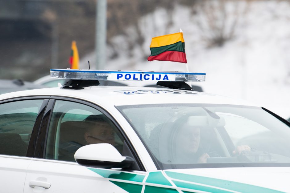 Lietuva švenčia: pakeltos vėliavos, tūkstantinė minia dalyvavo eitynėse