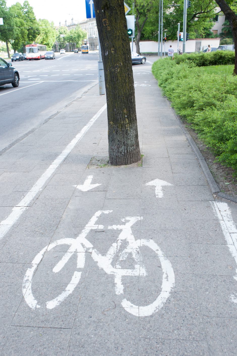 Kas kaltas dėl dviratininkų nelaimių – atsargumo ar dviračių takų stoka?
