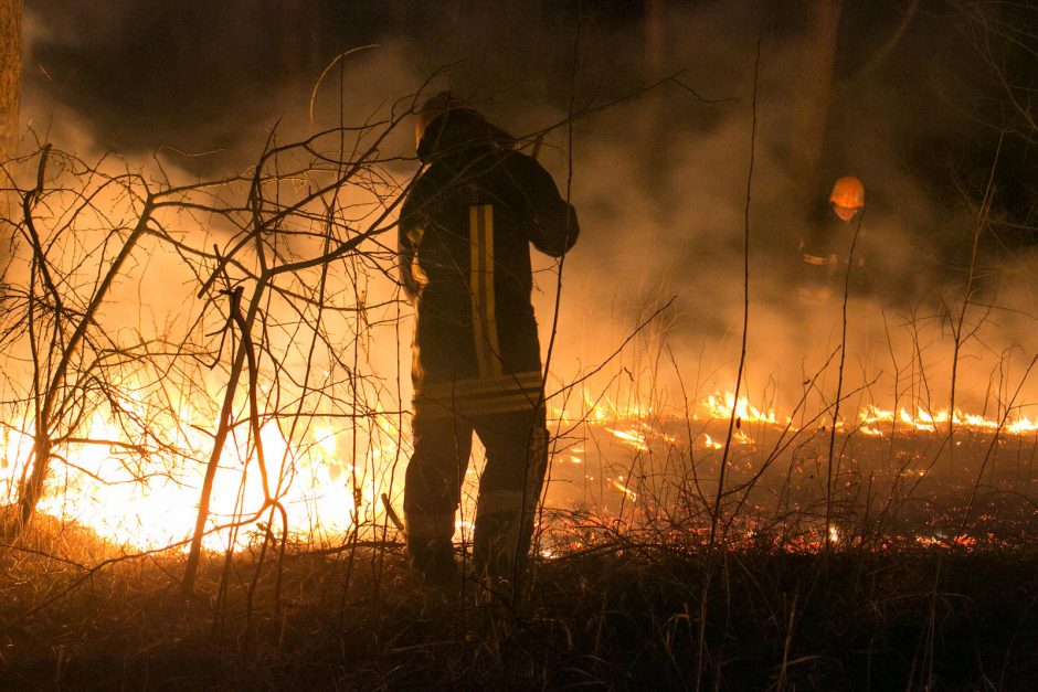 Žolės padegėjų negąsdina nei baudos, nei keliama grėsmė