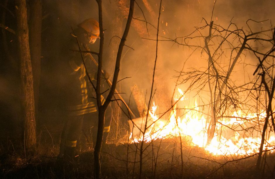Žolės padegėjų negąsdina nei baudos, nei keliama grėsmė