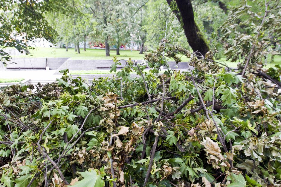 Škvalo padariniai Reformatų parke savivaldybės nedomina