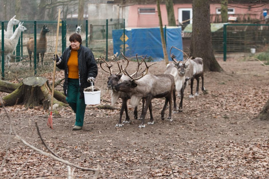 Zoologijos sodo smaližiams – ir brakonierių sugauta žuvis