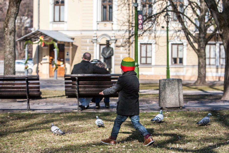 Mokytojai susirūpino istorijos prestižu