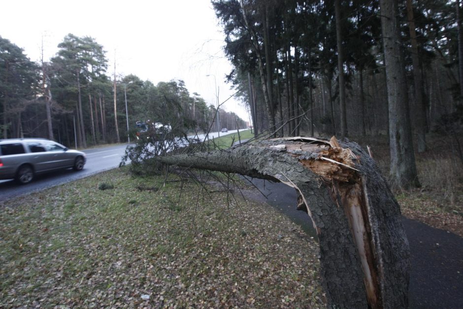 Ant klaipėdiečių galvų – pastolių kruša