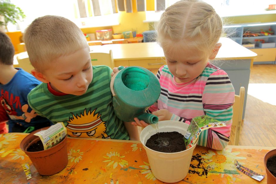 Vaikų darželyje mažieji laukia savo derliaus