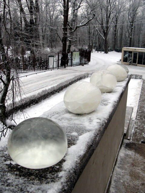 Botanikos sodą papuošė ledo burbulais