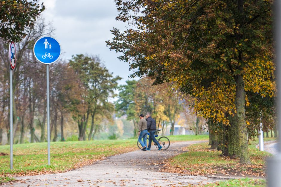 Gatvė, kuria retai kas vaikšto pėsčiomis