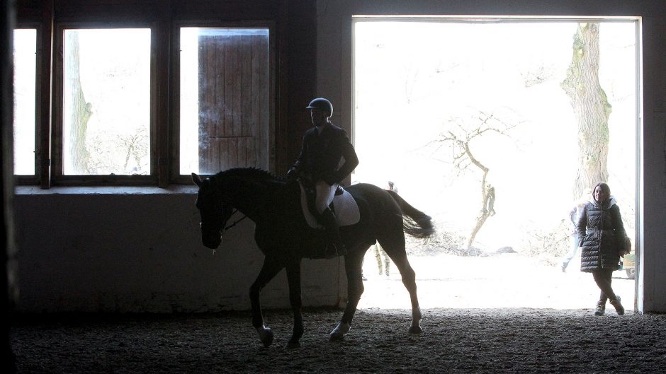 Atsigaunančiame Marvelės žirgyne – „Žirgų baletas“