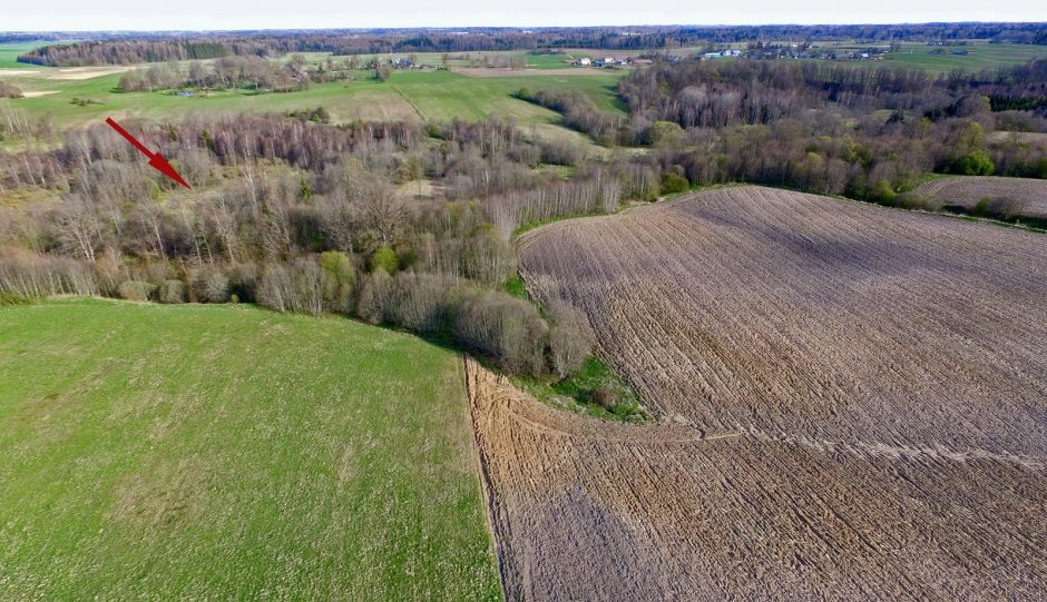 Rietave atrastas maždaug 750 metų senumo piliakalnis