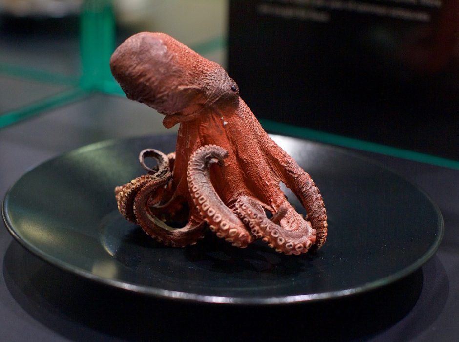„Akropolyje“ Jūrų muziejus kviečia aplankyti „Jūros stalą“