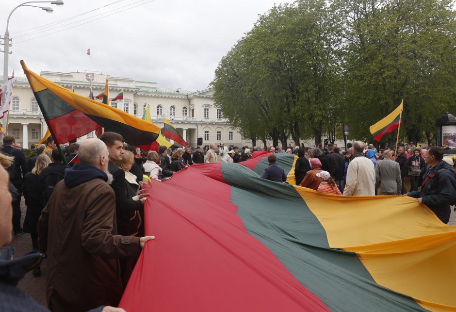Surengė eitynes: Lietuvos valstybės vėliavai – šimtas metų