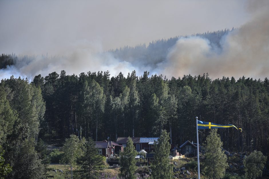 Rizika Švedijoje: baiminamasi dėl miškų gaisrų kilimo