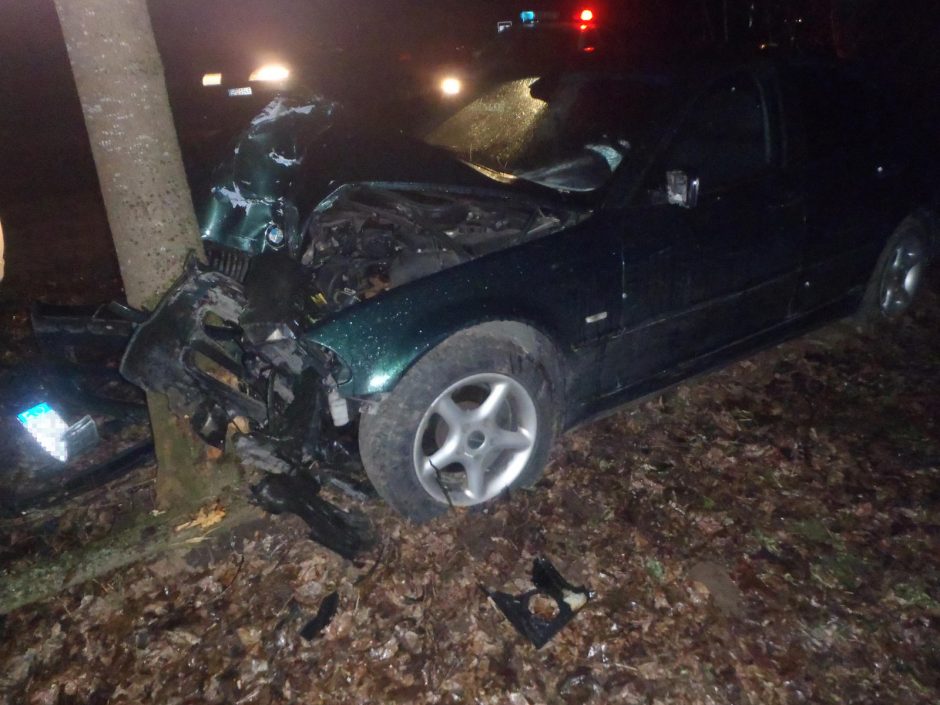 Vilniaus rajone į medį trenkėsi automobilis, nukentėjo žmogus
