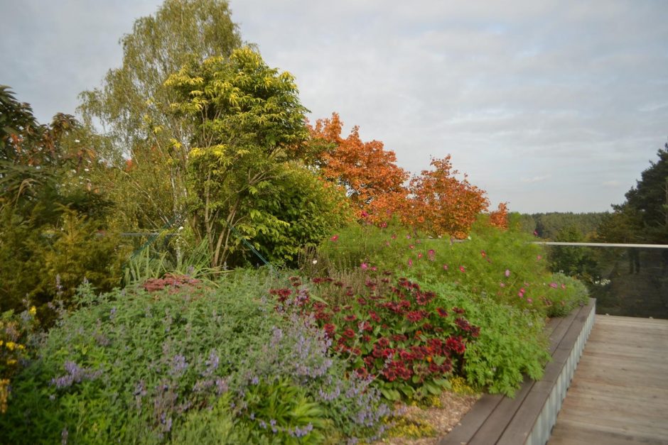 VU Botanikos sode – unikalus Lietuvoje žaliasis pastatas