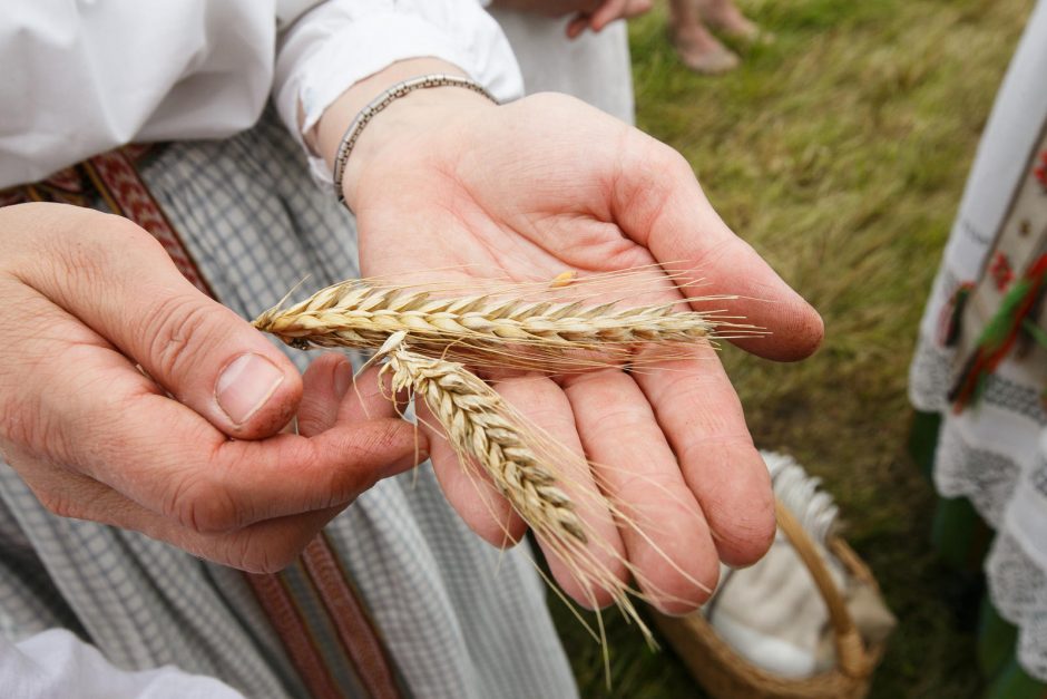 Rumšiškėse – naujojo derliaus ir Oninių šventė