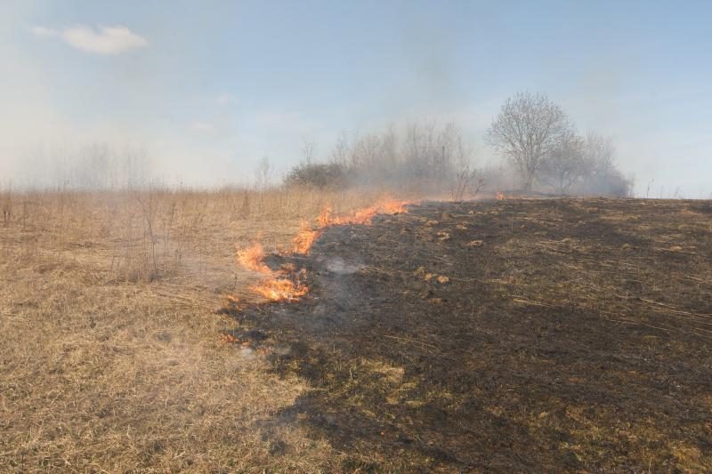 Kova su žolės degintojais: ugniagesiai griebėsi reidų