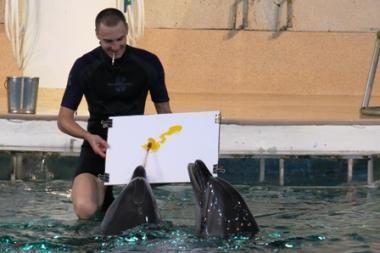 Sostinėje bus atidaryta delfinų piešinių paroda