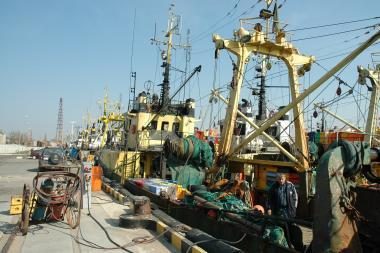 Parlamentarai pritarė prezidentės veto dėl Žuvininkystės įstatymo