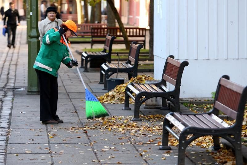 Miesto gatves nuklojusius lapus išveš už 90 tūkst. litų